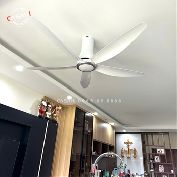 Quạt trần đèn CQ-8742-T